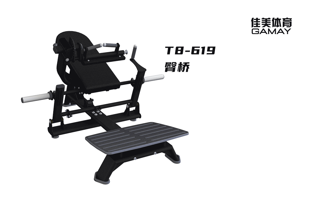 4-T8-619.gif