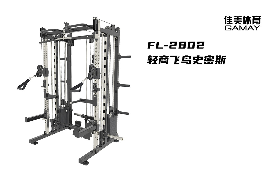 轻商飞鸟史密斯.jpg